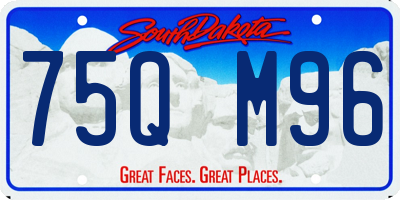 SD license plate 75QM96