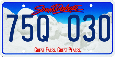 SD license plate 75QO30