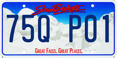 SD license plate 75QP01