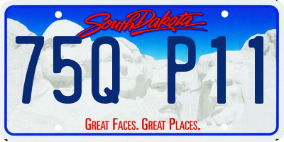 SD license plate 75QP11