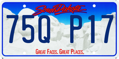SD license plate 75QP17
