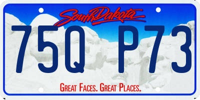 SD license plate 75QP73