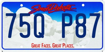 SD license plate 75QP87