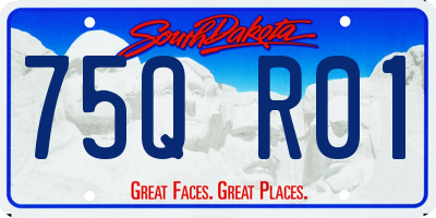 SD license plate 75QR01