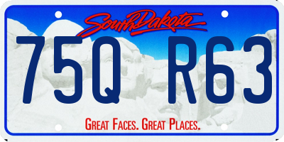 SD license plate 75QR63