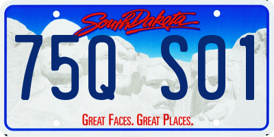 SD license plate 75QS01