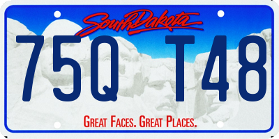 SD license plate 75QT48