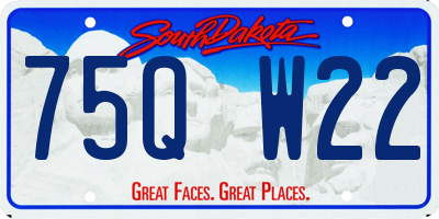SD license plate 75QW22