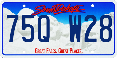 SD license plate 75QW28