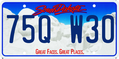 SD license plate 75QW30