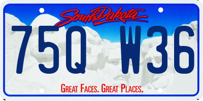 SD license plate 75QW36