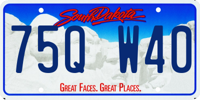 SD license plate 75QW40