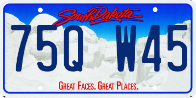 SD license plate 75QW45