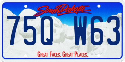 SD license plate 75QW63