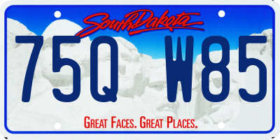 SD license plate 75QW85