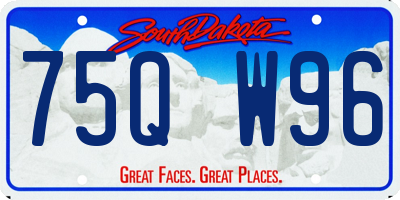 SD license plate 75QW96