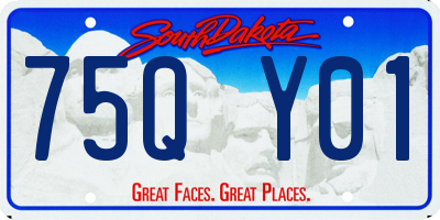 SD license plate 75QY01