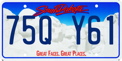 SD license plate 75QY61