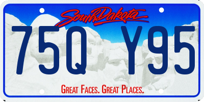 SD license plate 75QY95