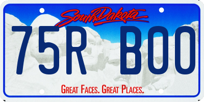 SD license plate 75RB00