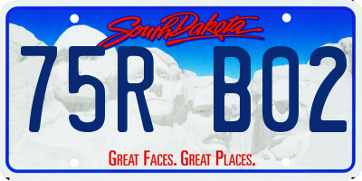 SD license plate 75RB02