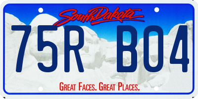 SD license plate 75RB04