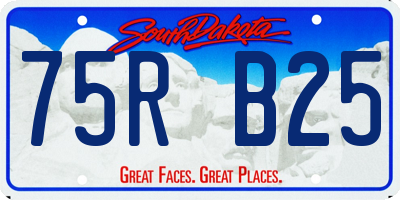 SD license plate 75RB25