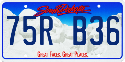 SD license plate 75RB36