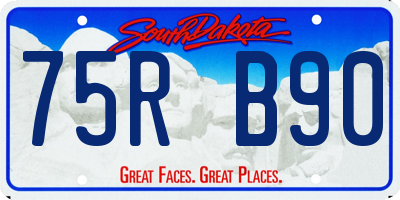 SD license plate 75RB90