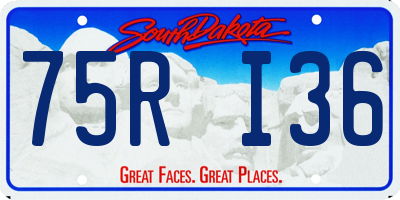 SD license plate 75RI36