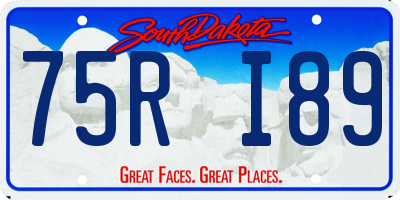 SD license plate 75RI89