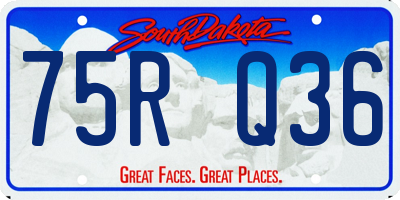 SD license plate 75RQ36