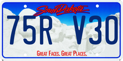SD license plate 75RV30