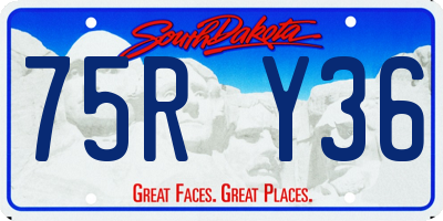 SD license plate 75RY36