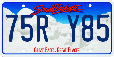 SD license plate 75RY85