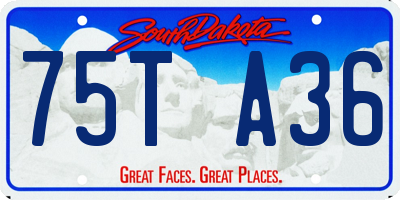SD license plate 75TA36