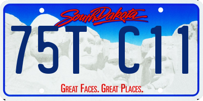 SD license plate 75TC11