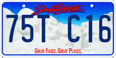 SD license plate 75TC16