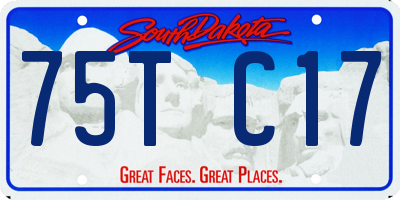SD license plate 75TC17