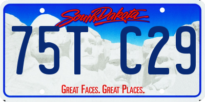 SD license plate 75TC29