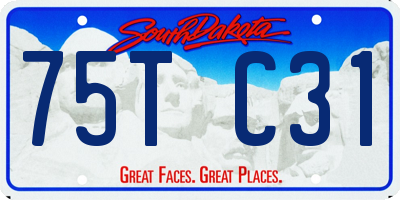 SD license plate 75TC31