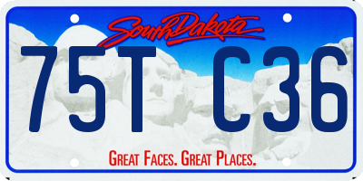 SD license plate 75TC36
