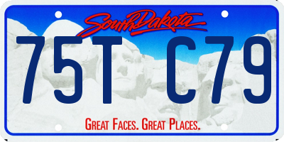 SD license plate 75TC79