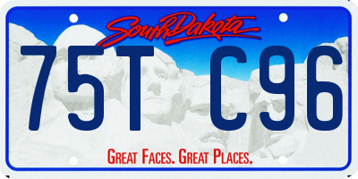 SD license plate 75TC96