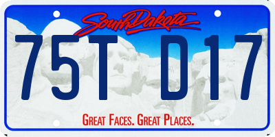 SD license plate 75TD17