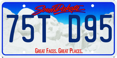 SD license plate 75TD95