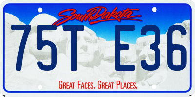 SD license plate 75TE36