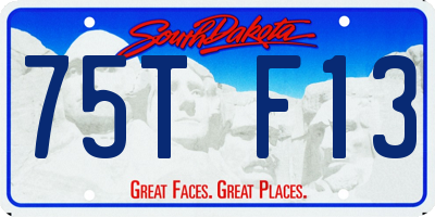 SD license plate 75TF13