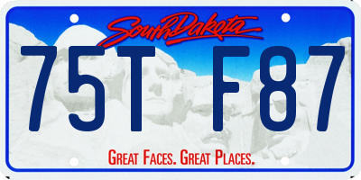 SD license plate 75TF87