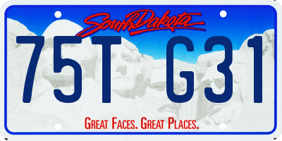 SD license plate 75TG31